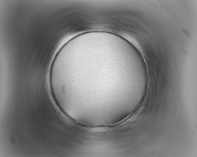 X0000116641440201001041022