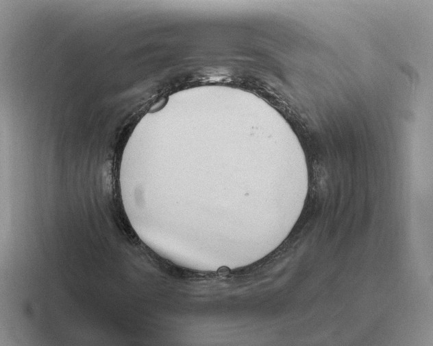 X0000116641442201001041022