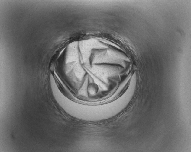 X0000116641445201001041022