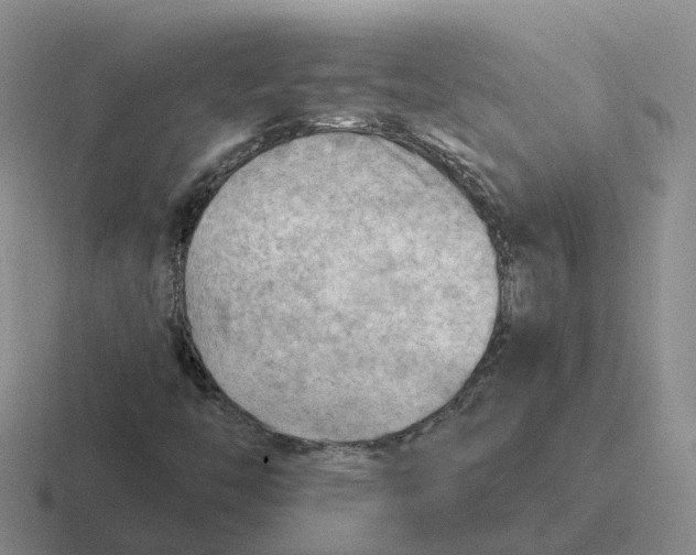 X0000116641446201001041022