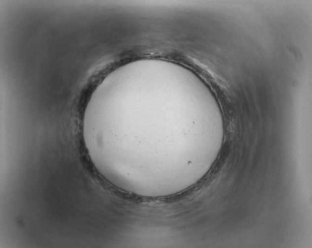 X0000116641447201001041022