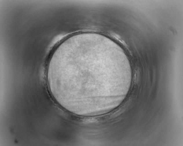 X0000116641454201001041021