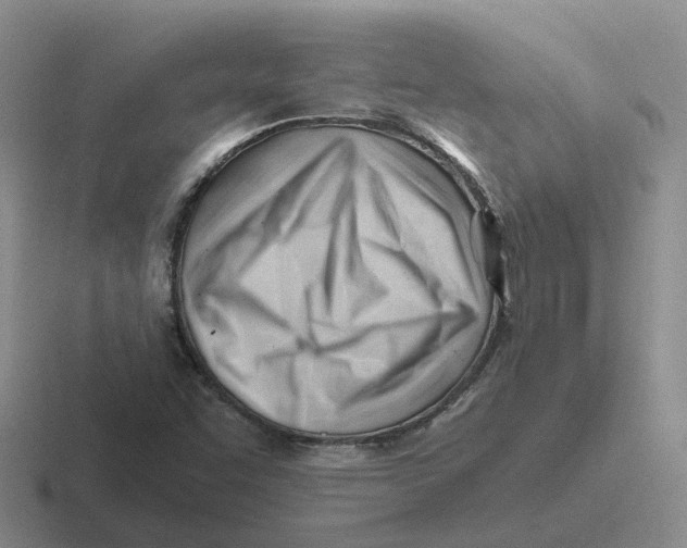 X0000116641455201001041021