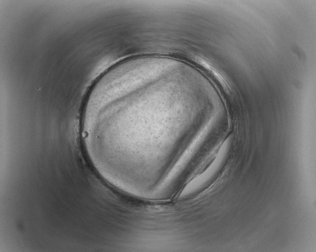 X0000116641459201001041021