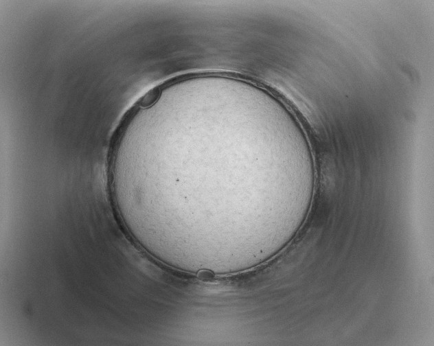 X0000116641460201001041021