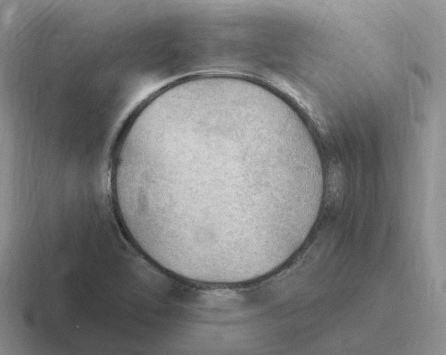 X0000116641462201001041021