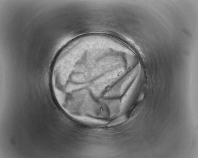 X0000116641463201001041021