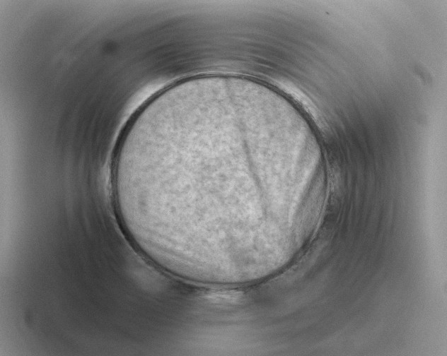 X0000116641466201001041021