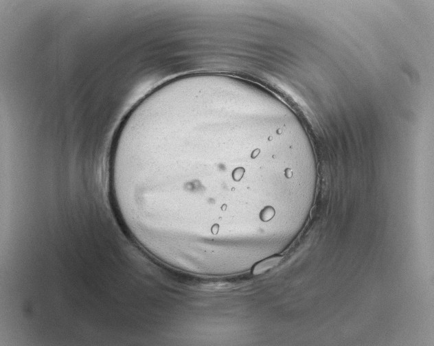 X0000116641467201001041021