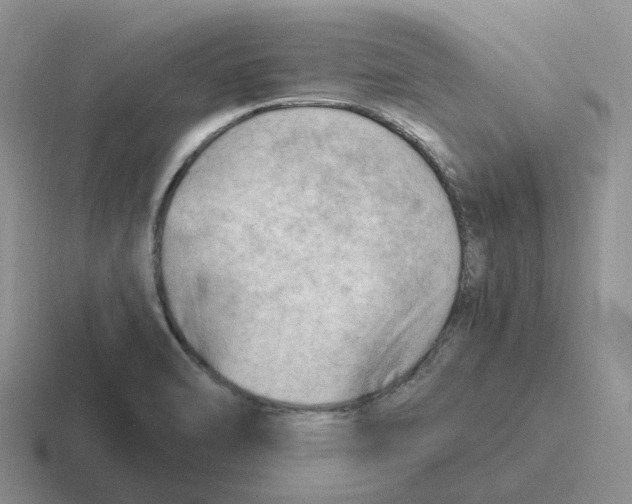 X0000116641470201001041021