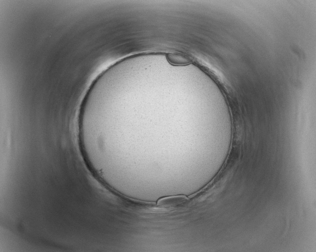 X0000116641471201001041021