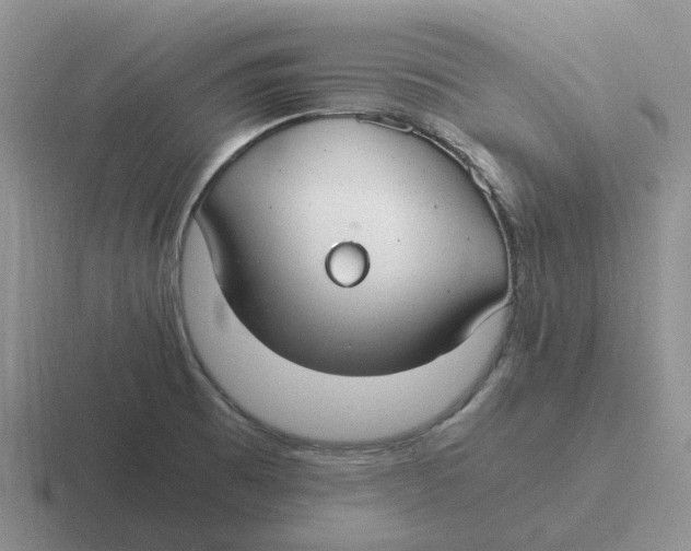 X0000116641473201001041021