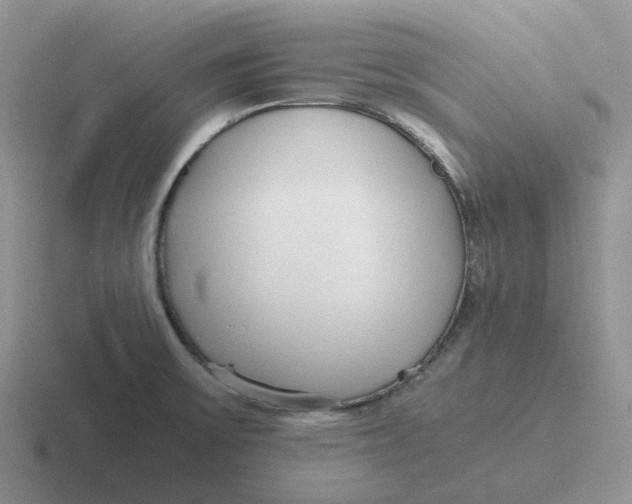 X0000116641475201001041021