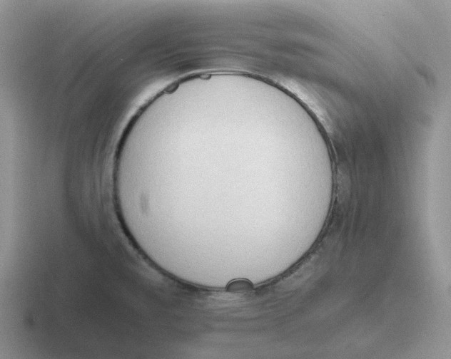 X0000116641477201001041021