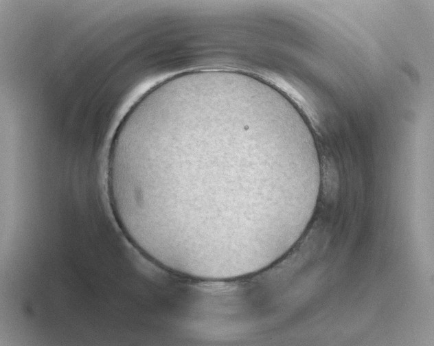 X0000116641478201001041021