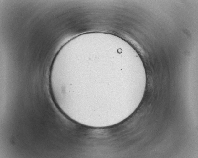 X0000116641479201001041021