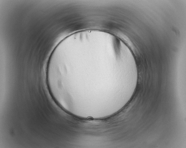 X0000116641483201001041021