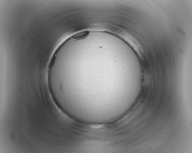 X0000116641484201001041021