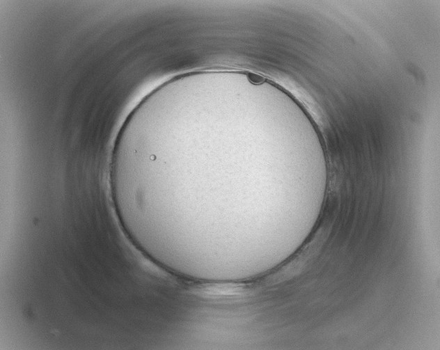 X0000116641486201001041021