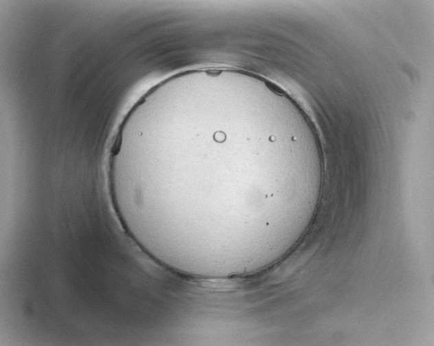 X0000116641488201001041021