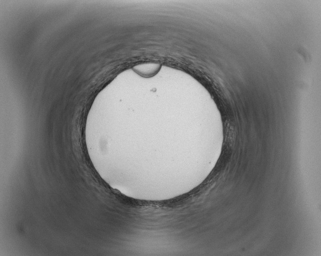 X0000116641489201001041020