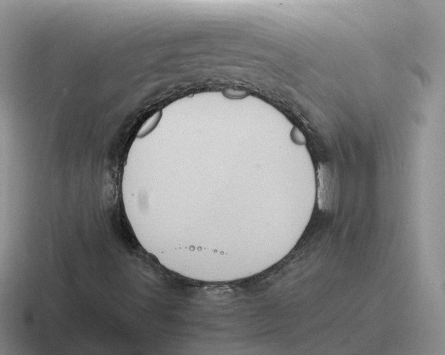 X0000116641491201001041020