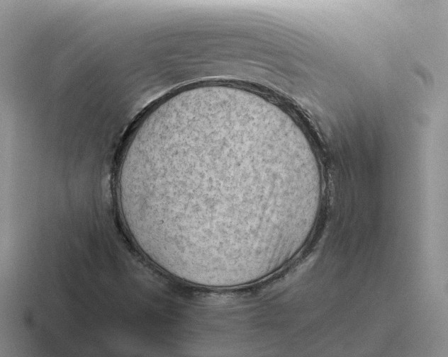 X0000116641497201001041021