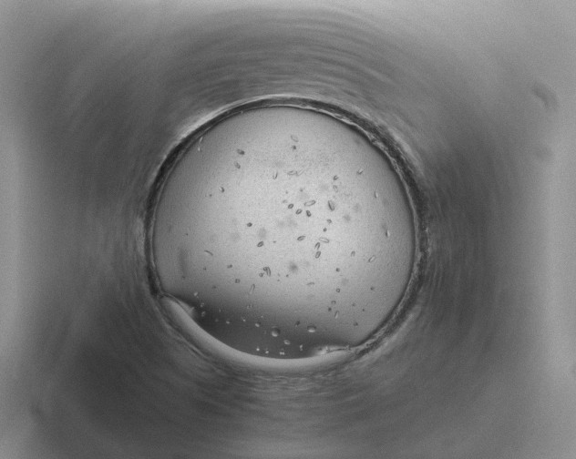 X0000116641505201001041021