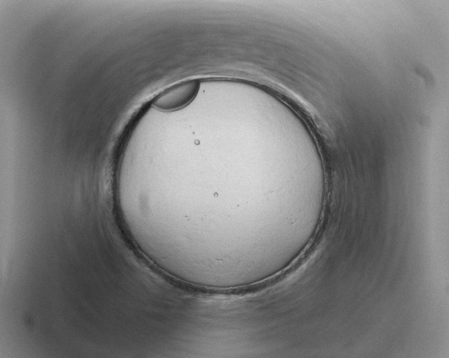 X0000116641506201001041021