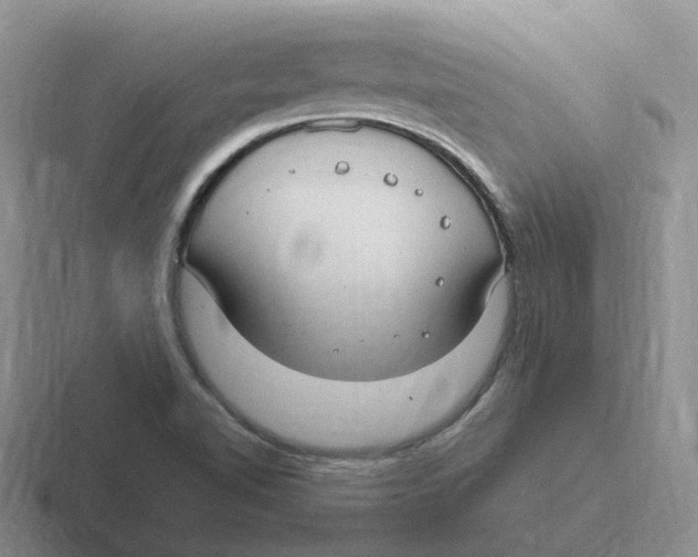 X0000116641510201001041021