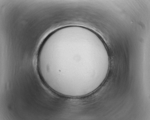 X0000116641511201001041021