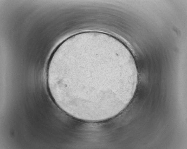 X0000116641514201001041021