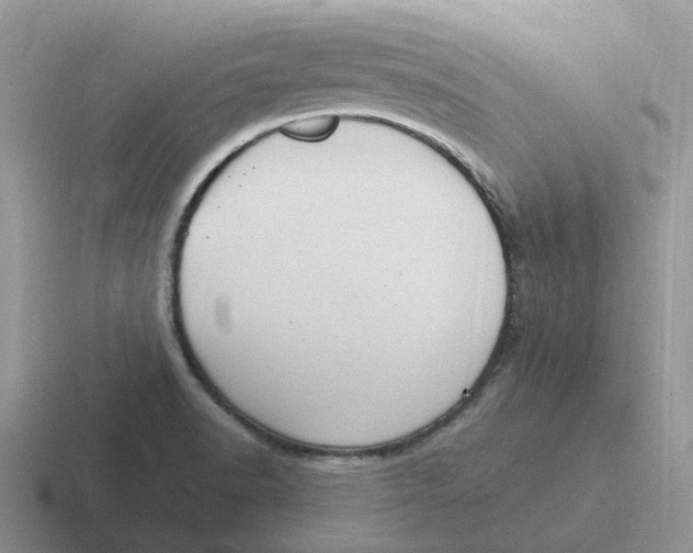 X0000116641518201001041021