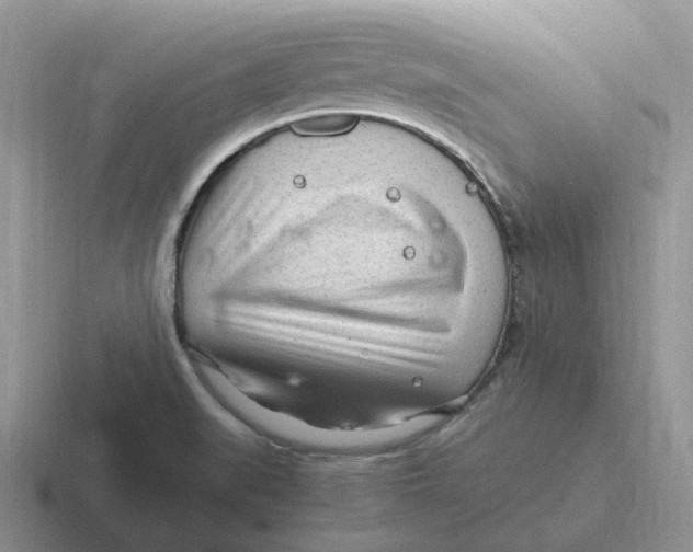 X0000116641519201001041021