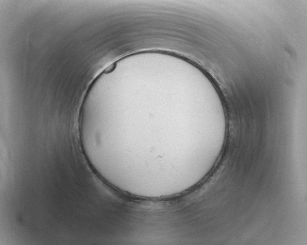 X0000116641521201001041021