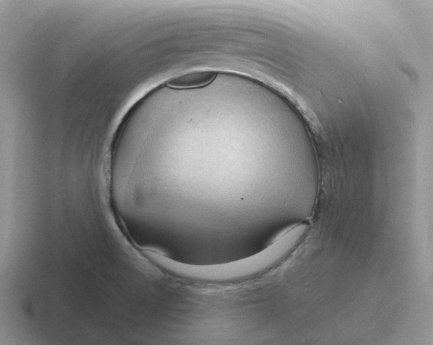 X0000116641522201001041021