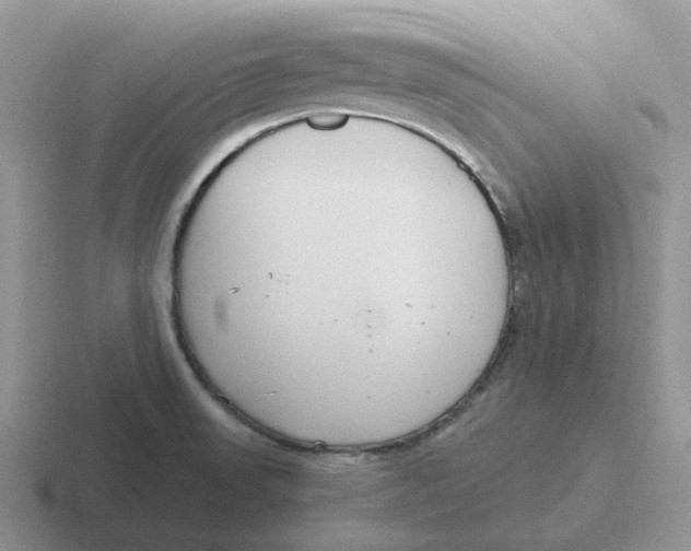 X0000116641523201001041021