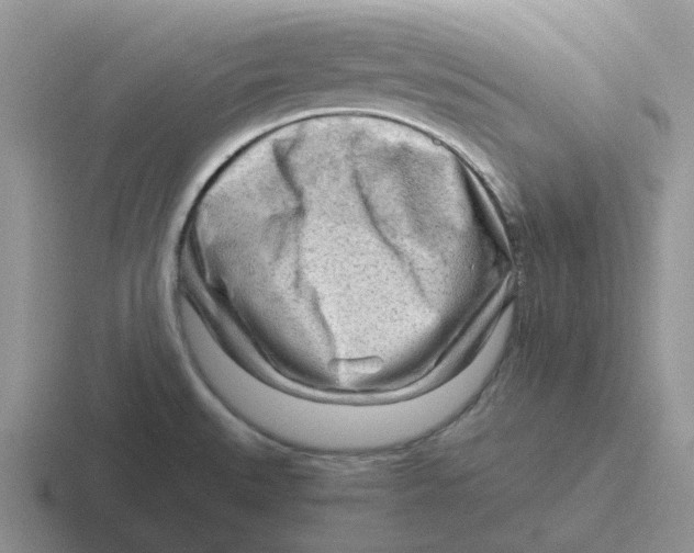 X0000116641527201001041021