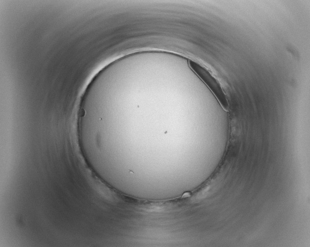 X0000116641530201001041021