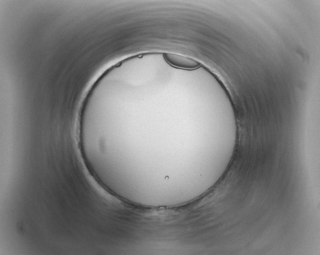 X0000116641531201001041021