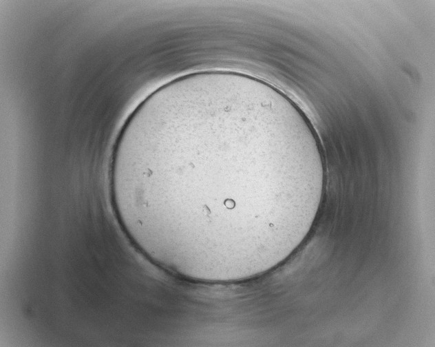 X0000116641533201001041021