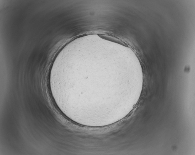 X0000116640001201001111218