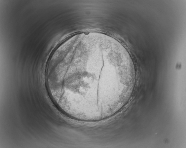 X0000116640002201001111218