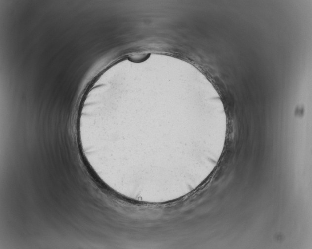 X0000116640004201001111218