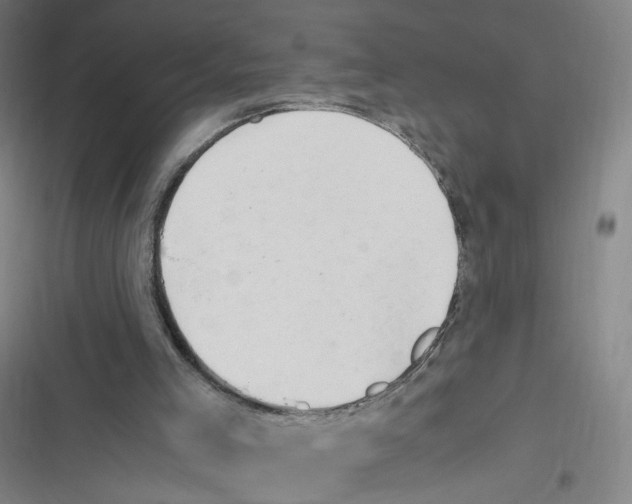 X0000116640005201001111218