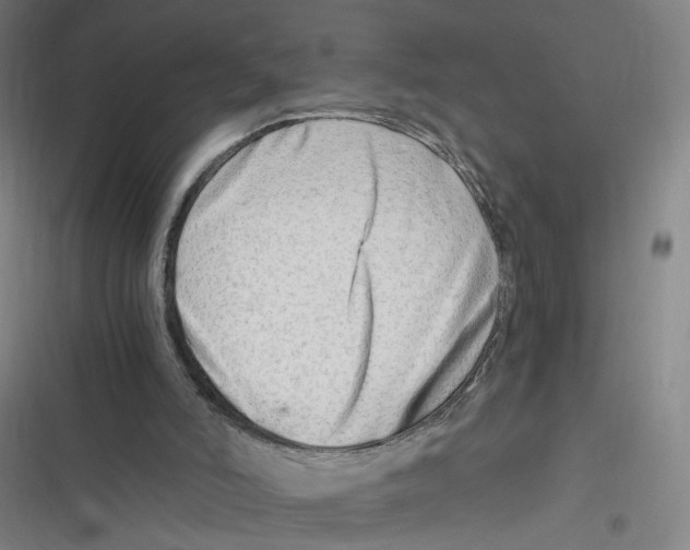 X0000116640006201001111218