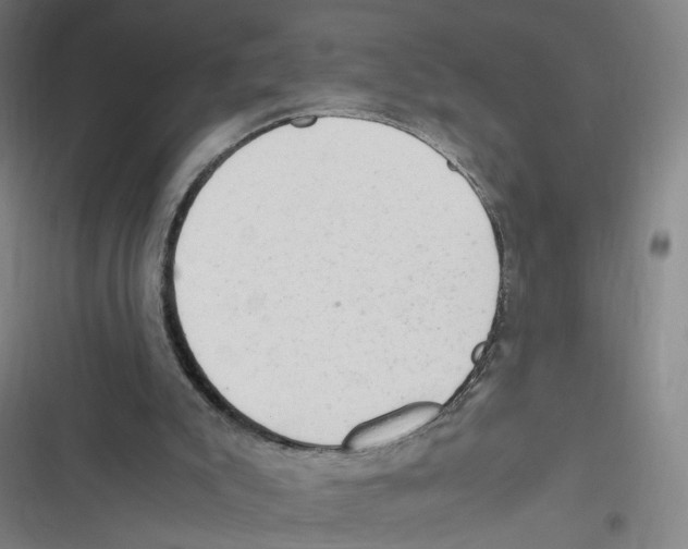 X0000116640007201001111218