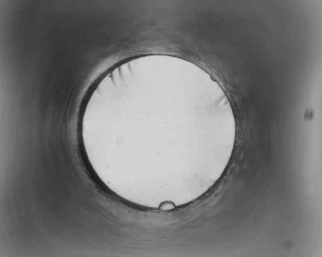 X0000116640008201001111218