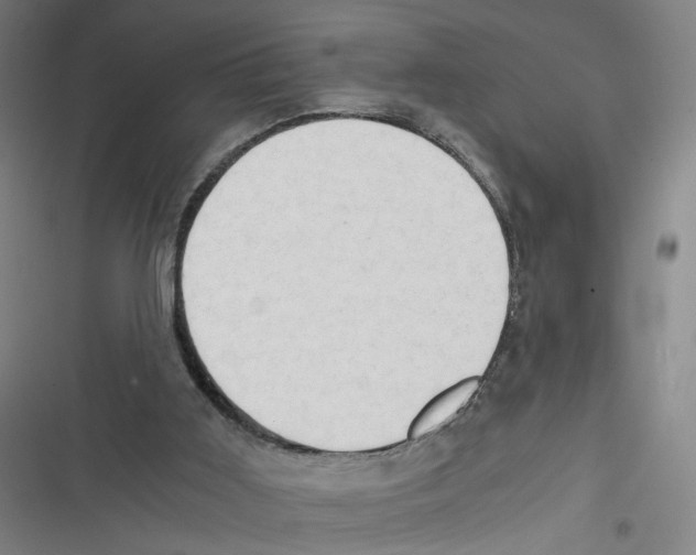 X0000116640011201001111218