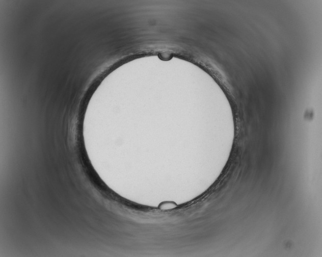 X0000116640012201001111218